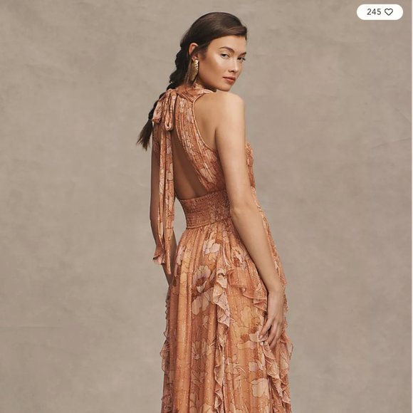 BHLDN High-Neck A-Line Chiffon Gown size XS - Picture 3 of 4